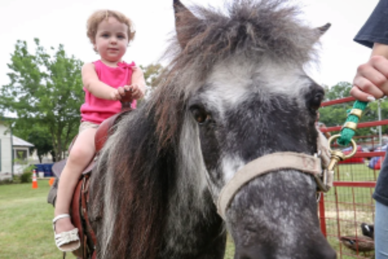 Pony Rides - $6